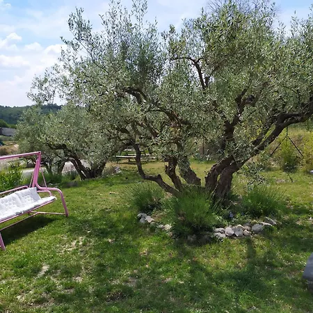 Dans Belle Maison Au Pays Des Lavandes *
